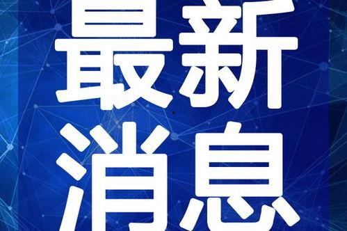 魔法衣橱最新爆料视频,奇幻世界背后的秘密与惊喜 第3张 魔法衣橱最新爆料视频,奇幻世界背后的秘密与惊喜 第3张