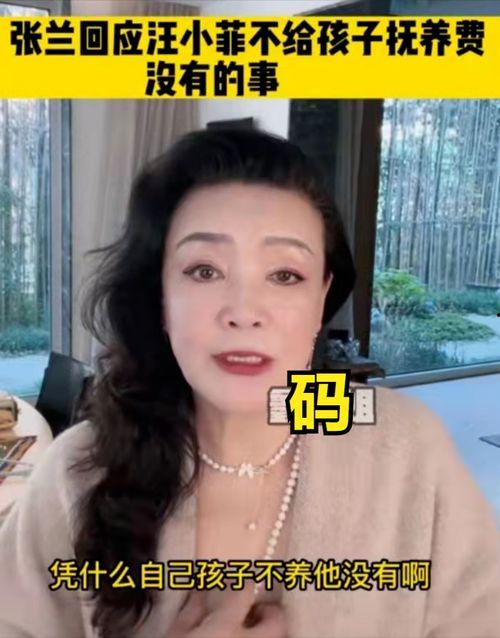 爆料张兰当妈妈视频,揭秘豪门背后的温馨瞬间  第2张